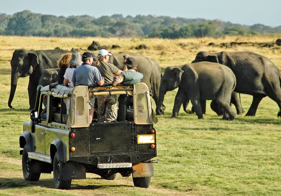 Safari in 14 Days Tour 14 Days to Sri Lanka Safari