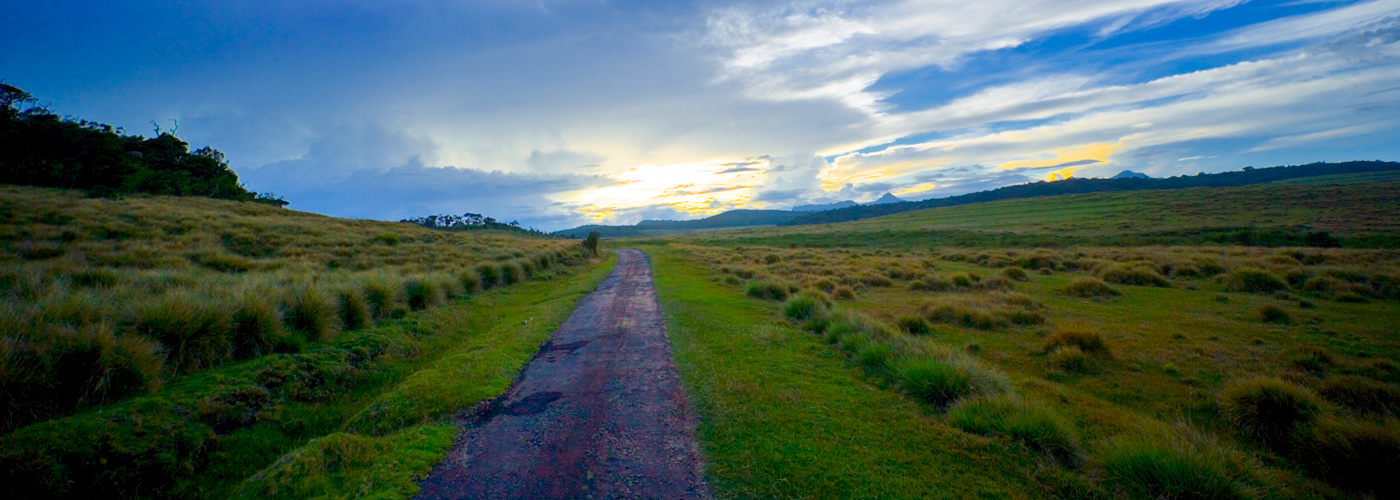 Horton Plains in 14 Days Tour 2 Weeks Holidays Horton Plains