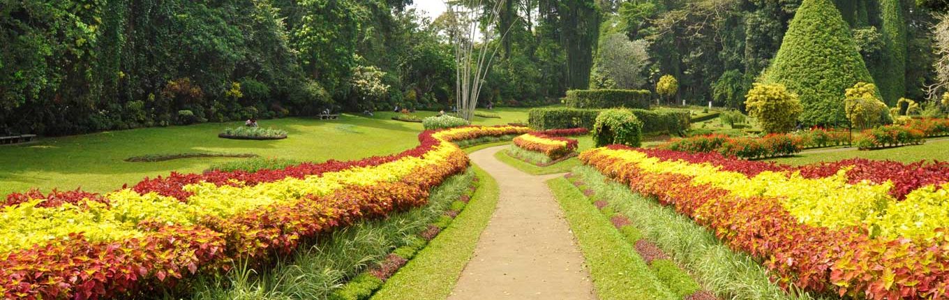 Peradeniya Garden in 2 Weeks Holidays 2 Weeks Sri Lanka Peradeniya Garden