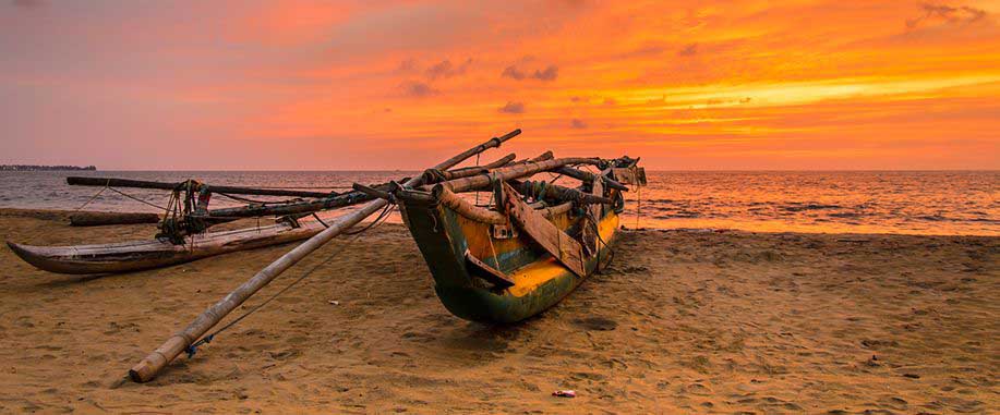 Sunset Negombo in 2 Weeks Itinerary 14 Days Tour Itinerary Sunset Negombo