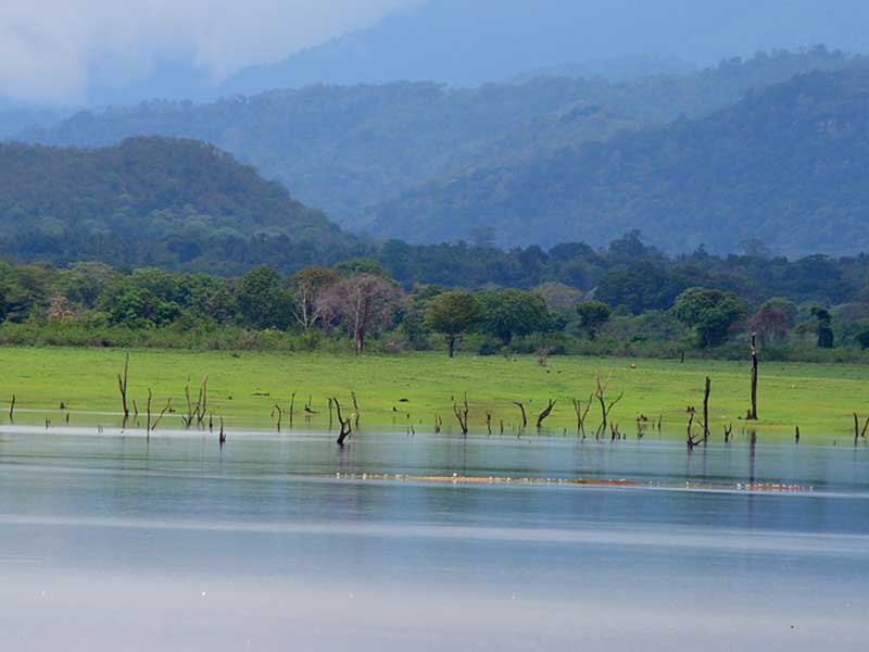 Yala Lake in 2 Weeks Holidays 14 Days Tour Yala Lake